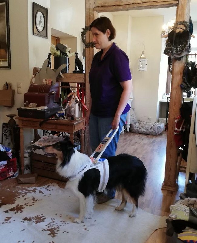 Familienbild mit Collie Candy und Labrador Mischling Tom