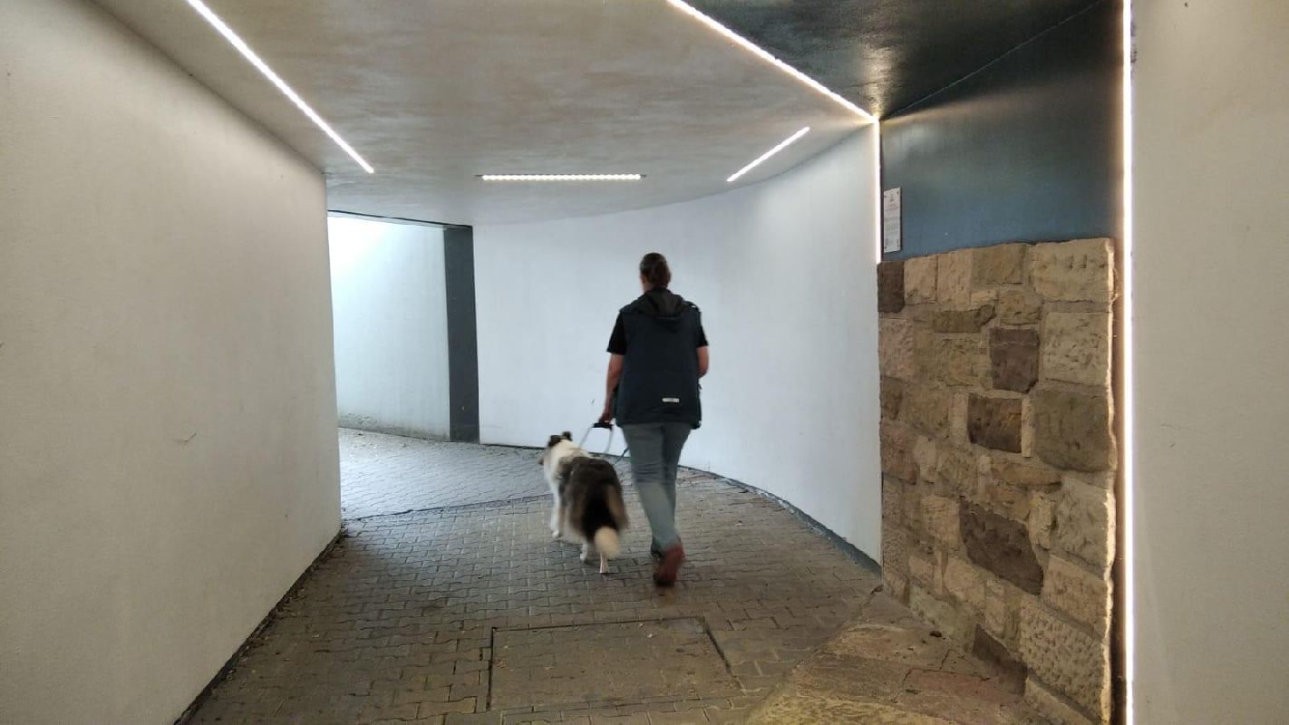 Collie Zuchtstätte in Schorndorf