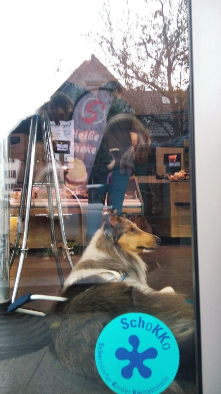 Collie Zuchtstätte in Schorndorf