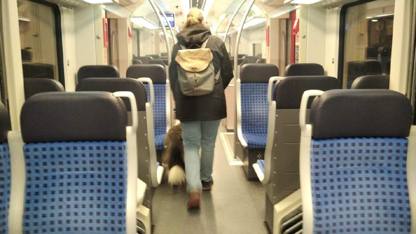 Collie Zuchtstätte in Schorndorf